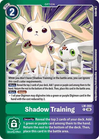 Shadow Training