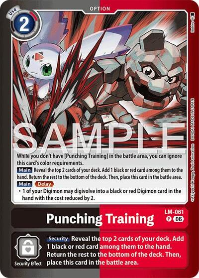 Punching Training
